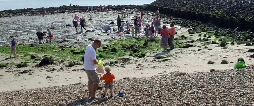 Rockpooling on Shoreham Beach