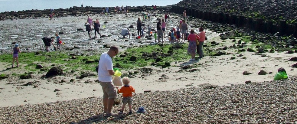 Rockpooling on Shoreham Beach